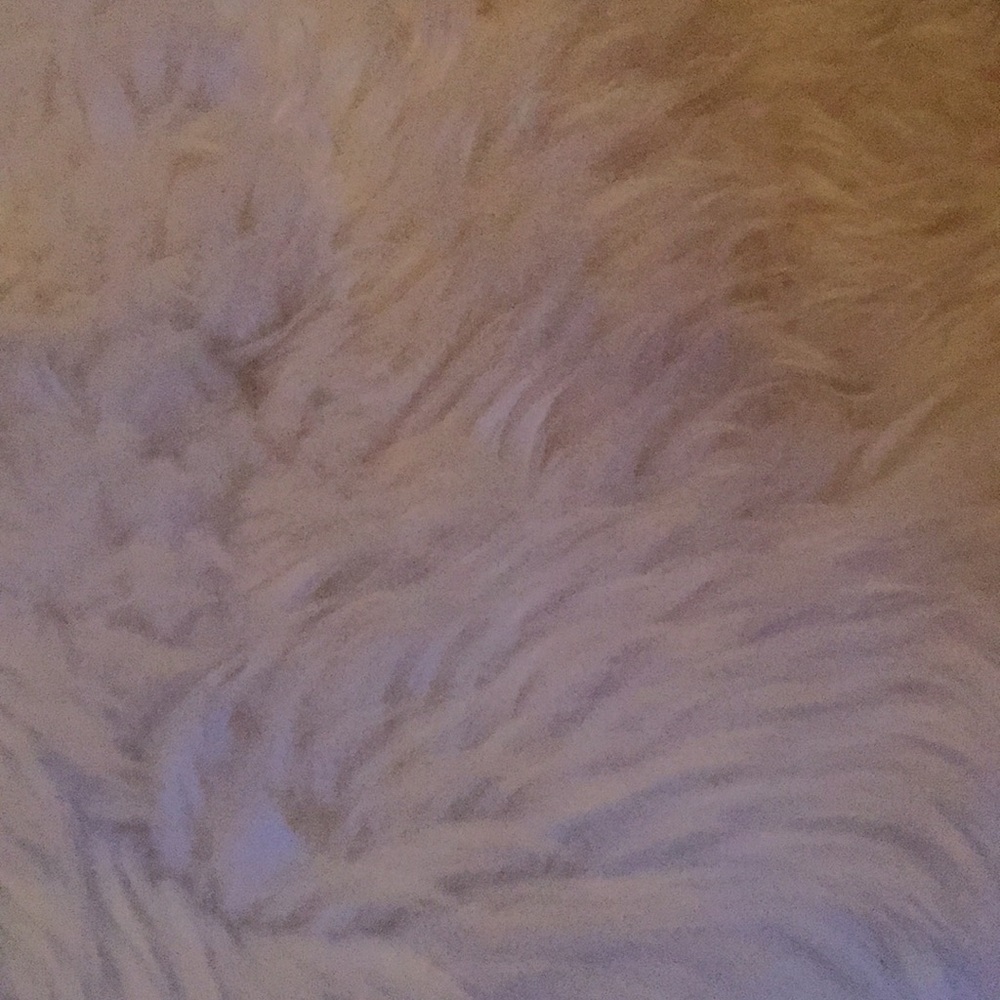 Meet your Posher, Carolyn